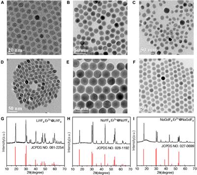 NIR-II Upconversion Photoluminescence of Er3+ Doped LiYF4 and NaY(Gd)F4 Core-Shell Nanoparticles